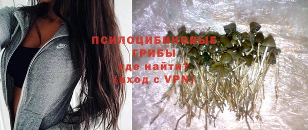 тгк Беломорск