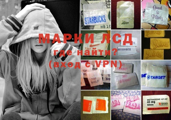 стаф Белоозёрский
