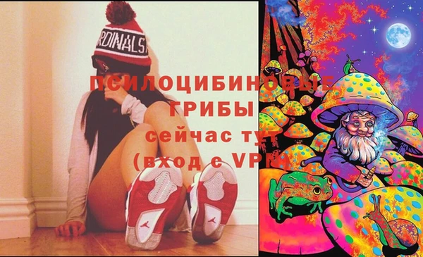 стаф Белоозёрский