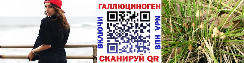 Псилоцибиновые грибы Cubensis  купить наркотики цена  Болхов 